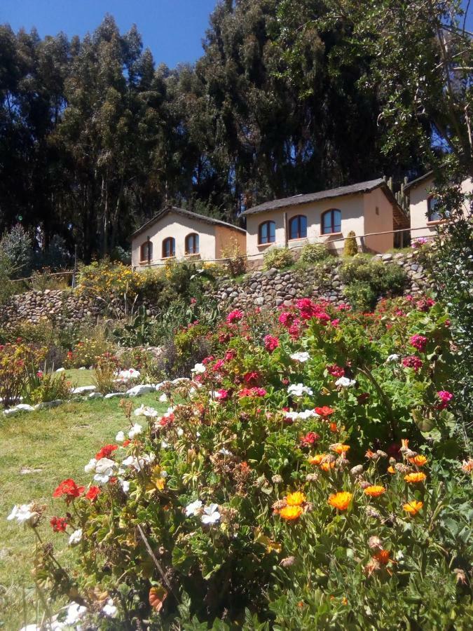Ecolodge Copacabana Copacabana (Lake Titicaca)